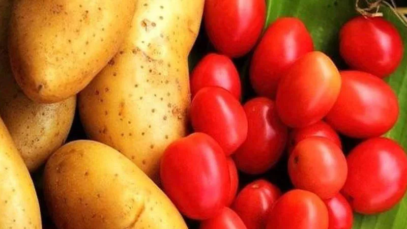 دراسة جينية تكشف: الطماطم ساهمت في نشأة البطاطا الحديثة