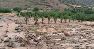 نائب برلماني يطالب بتدخل عاجل لدعم الفلاحين المتضررين من فيضانات وادي الأخضر بأزيلال