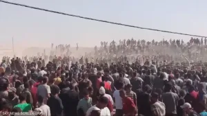 حقوقيون دوليون يستنكرون إنكار المبعوث الأمريكي لمجاعة غزة ويطالبون بتحقيقات دولية عاجلة
