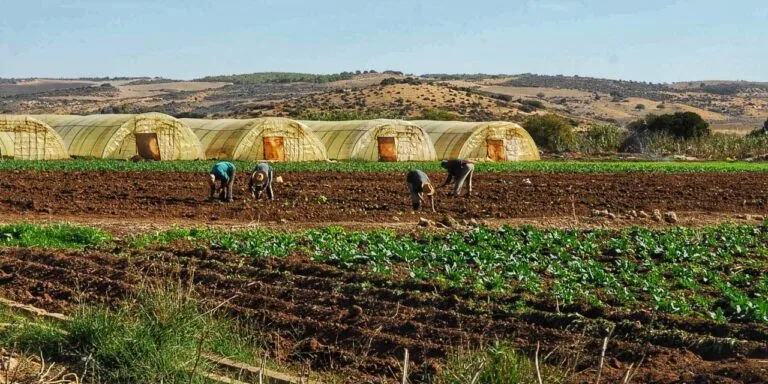 المسرع الفلاحي 2.0 يُطلق جلسات Pitching لدعم الشباب والمشاريع المبتكرة بجهة طنجة-تطوان-الحسيمة