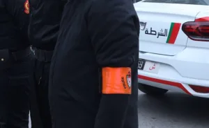 القصر الكبير.. توقيف قاصر متلبس بمحاولة اختطاف تلميذة بالسلاح الأبيض وكلب شرس
