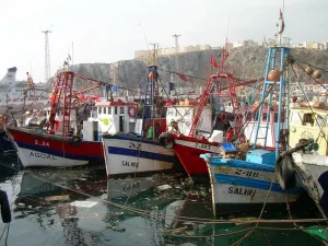 تراجع مفرغات الصيد بميناء الحسيمة رغم ارتفاع كمية بعض الأنواع البحرية