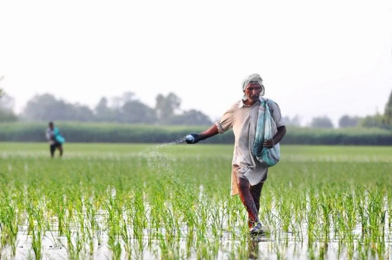 المغرب ثالث موردي الأسمدة للهند بصادرات تجاوزت نصف مليار دولار