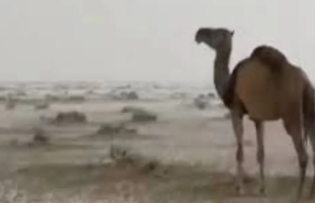 نشرة إنذارية :    أمطار رعدية قوية وغزيرة تضرب الصحراء المغربية