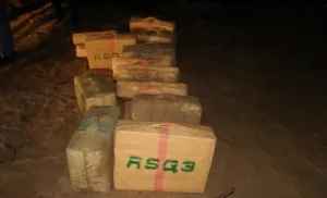 حجز طنين من الحشيش بمنطقة الشاطئ الأبيض وكشف مخطط للتهريب الدولي