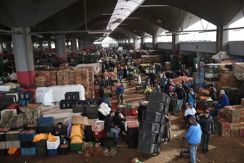 جماعة الدار البيضاء تطلق مشروعًا ضخمًا لإنشاء مجمع لتسويق المنتجات الفلاحية والغذائية والبحرية