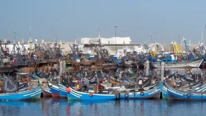 ارتفاع طفيف في مصطادات الصيد البحري بالسواحل المتوسطية للمغرب