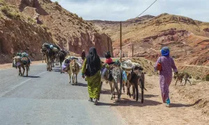 الهجرة الداخلية تعيد رسم خريطة المغرب وتكشف تفاوت التنمية بين جهاته