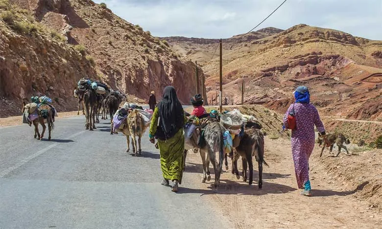 الهجرة الداخلية تعيد رسم خريطة المغرب وتكشف تفاوت التنمية بين جهاته