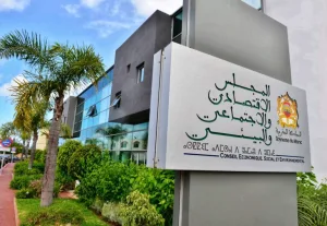 المجلس الاقتصادي والاجتماعي والبيئي: الابتكار ضرورة وطنية لتعزيز تنافسية الاقتصاد المغربي