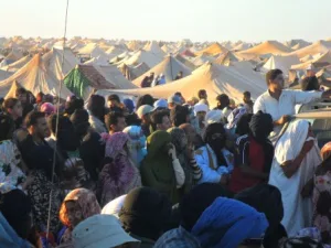 أبواق الانفصاليين بين التضليل الإعلامي والحقائق الميدانية في الصحراء المغربية