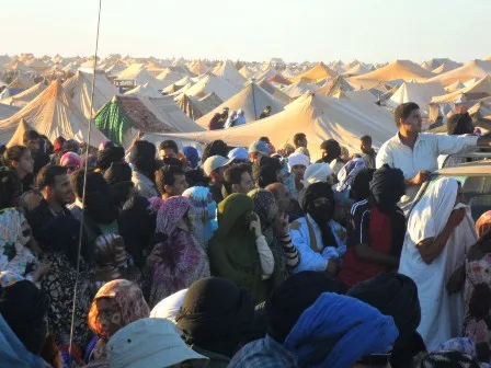 أبواق الانفصاليين بين التضليل الإعلامي والحقائق الميدانية في الصحراء المغربية