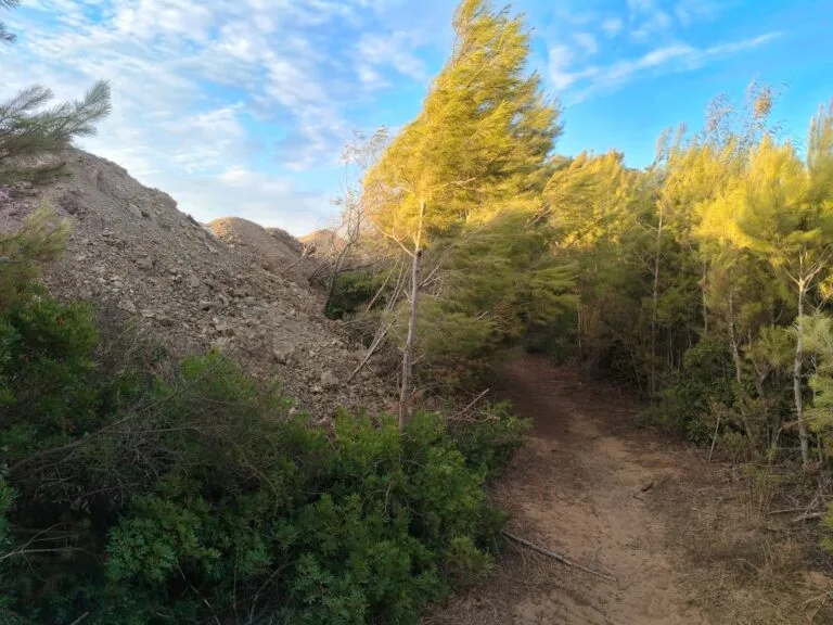 أشغال تهدد “الغابة الدبلوماسية” بإكزناية وتثير غضب السكان