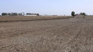 الترقب يسيطر على الفلاحين مع تأخر الأمطار وارتفاع درجات الحرارة