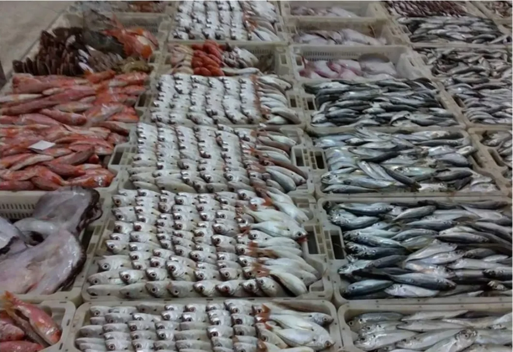 ضربة قوية للجزائر والبوليساريو … المفوضية الأوروبية تعتمد جميع المنتجات المغربية من صحرائه