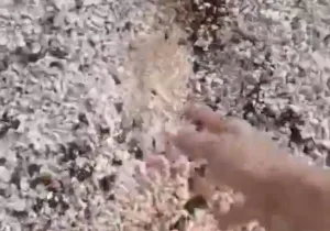 الحسيمة :     فيديو … فضيحة طريق “الغش” تهز جماعة عبد الغاية السواحل !