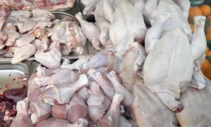 لحوم الدجاج تواصل التحليق عاليا في الأسواق المغربية