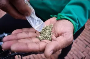 كولومبيا تشرّع بيع المخدرات في الصيدليات :     إصلاح تاريخي أم فوضى جديدة ؟