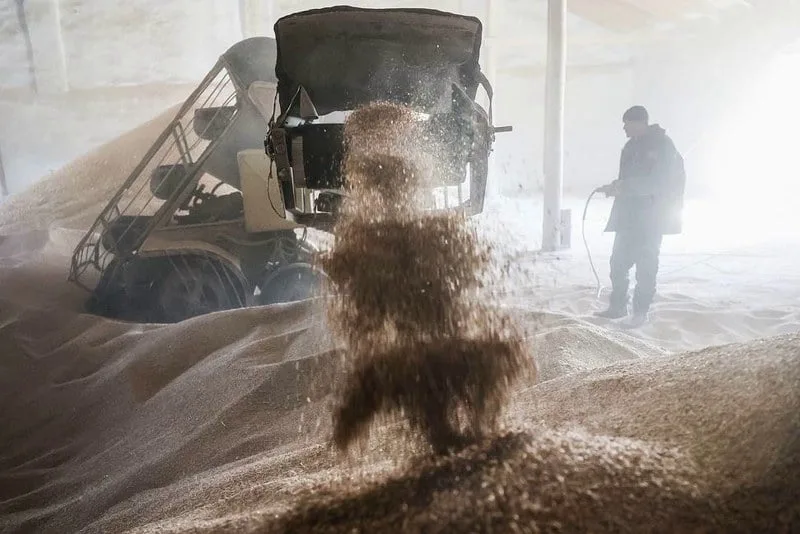 المغرب يستورد 660 ألف طن من المنتجات الزراعية الروسية خلال ثمانية أشهر