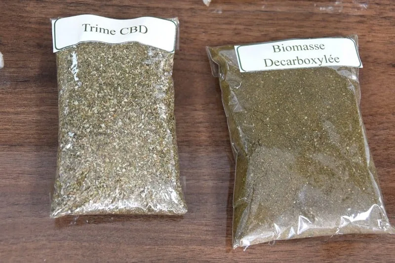 زراعة القنب الهندي القانوني تعزز التنمية الفلاحية بإقليم شفشاون