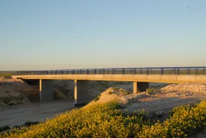 مفتشية المالية تكشف شبهات هدر المال العام في صفقات الدراسات العمومية