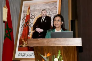 الأسماك السطحية الصغيرة مهددة.. تراجع المخزون وانعكاساته على الأمن الغذائي