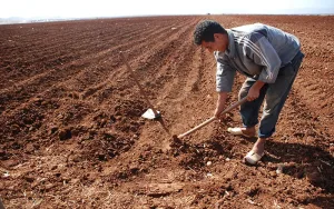 الفاو تسلّط الضوء على المغرب والإكوادور كنماذج لإدارة مستدامة للتربة