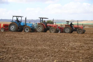 وزارة الفلاحة تكشف عن برنامج طموح للموسم الفلاحي 2025-2026