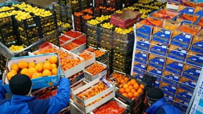 ارتفاع قوي في تدفقات السلع الغذائية بين المغرب وتونس خلال 2025