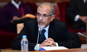 الجماني: قرار مجلس الأمن انتصار للدبلوماسية المغربية وتجسيد لرؤية الملك في ترسيخ الوحدة الترابية