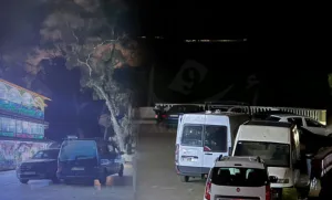 طنجة. استنفار أمني ومواجهات عنيفة بين المهربين والقوات المساعدة في غابة رميلات