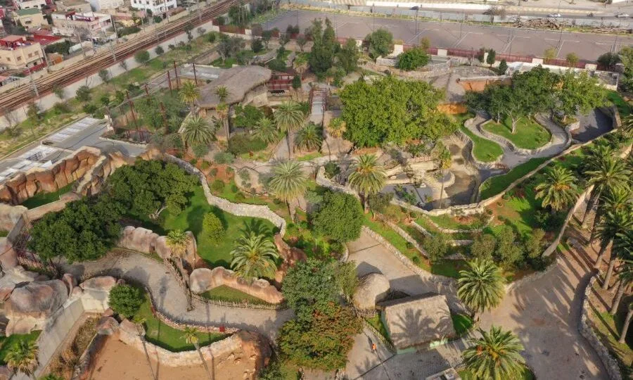 جماعة الدار البيضاء توكل مهمة تقييم حديقة الحيوانات عين السبع لضمان الاستدامة والسلامة