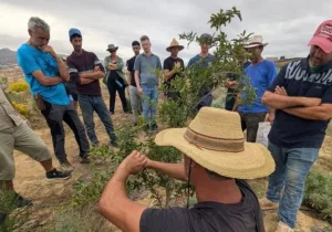 الحسيمة في قلب التحدي البيئي :    خبرات هولندية لدعم الزراعة المستدامة في الريف