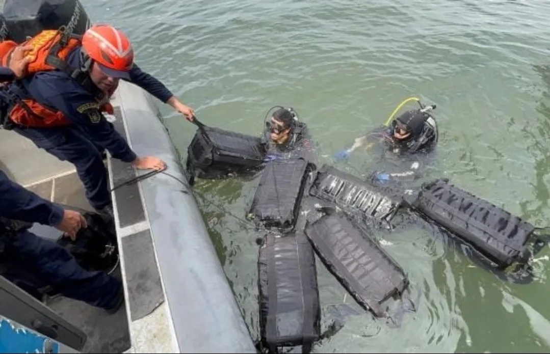 غواصون يعثرون على 208 كيلوغرامات من الكوكايين مخبّأة تحت هيكل سفينة متجهة إلى أوروبا