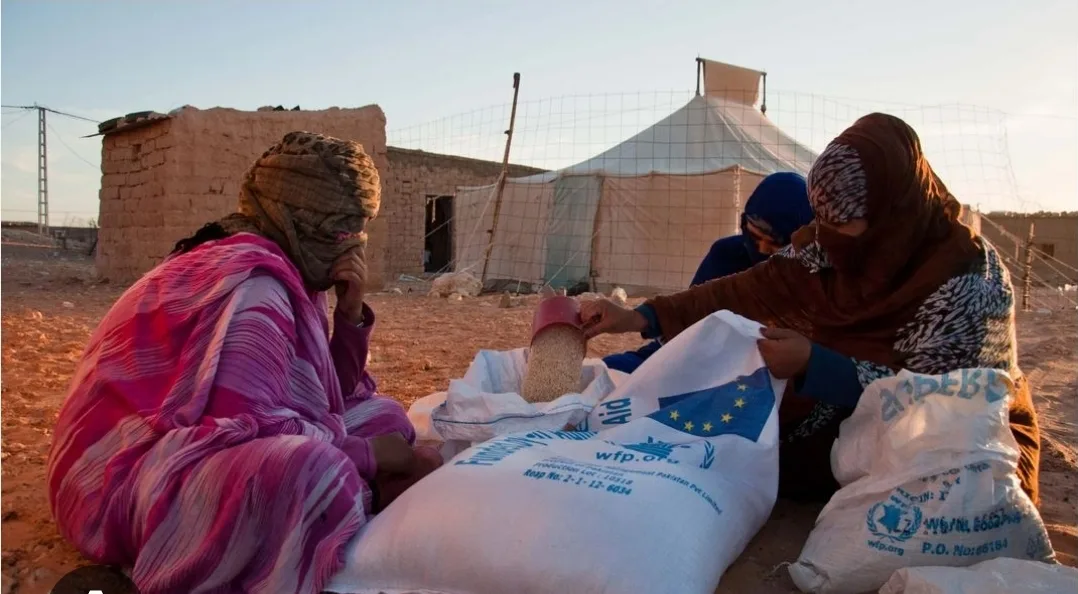 بعد مجلس الأمن الداعم لمغربية الصحراء… الأمم المتحدة تنسحب من تيندوف وجبهة البوليساريو تتوسل 100 مليون دولار