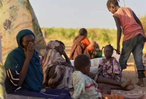 السودان.. مدن تأكل علف الحيوانات تحت حصار الدعم السريع والأمم المتحدة تعلن المجاعة رسمياً