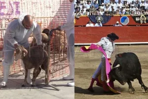 سبتة ومليلية المحتلتان.. اليمين الإسباني يشعل جدلاً في البرلمان للمطالبة بحظر الأعياد الإسلامية