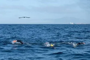 عبورُ مضيق جبل طارق سباحةً… تجربة عالمية تتّسع، وحضور مغربي يوقّع محطات تاريخية