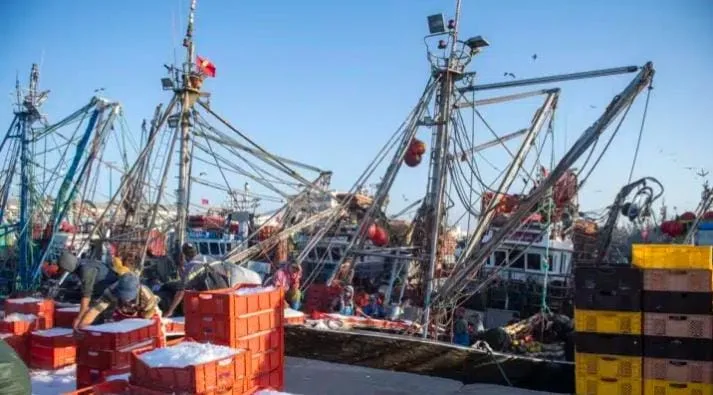 رغم ضغوط اليمين الإسباني… الكناري تتجه بثبات نحو الاستثمار في الأقاليم الجنوبية للمملكة