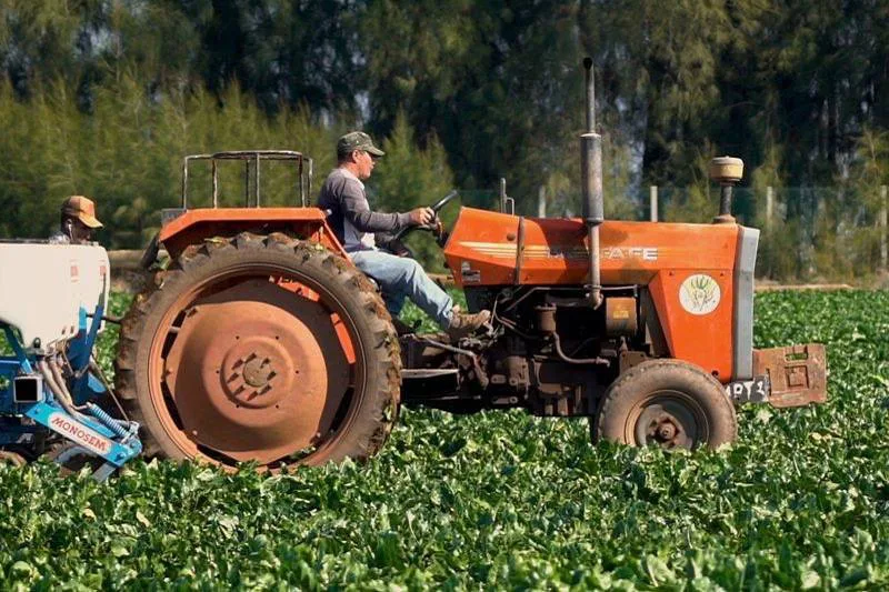 الحكومة تغيّر اسم “صندوق التنمية القروية” وتمنحه بعداً ترابياً جديداً