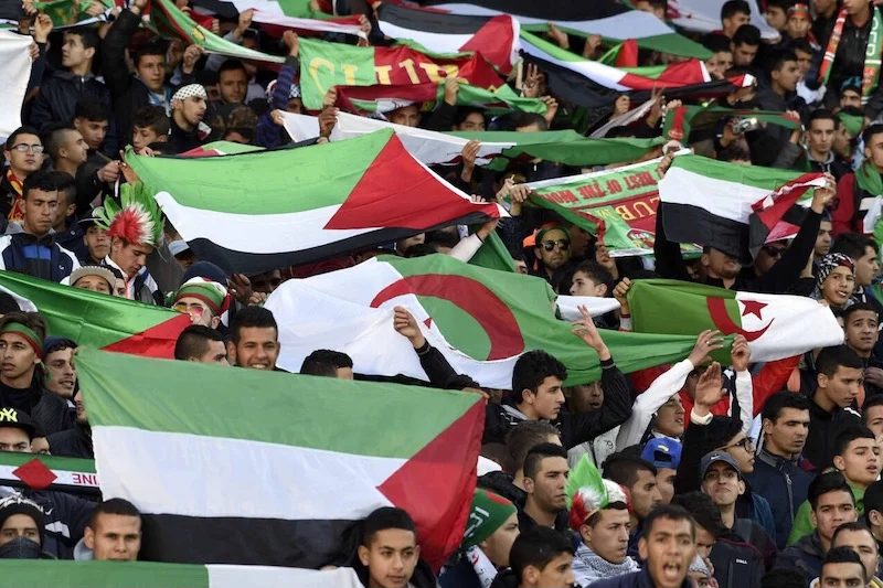 تصويت الجزائر على قرار غزة يفجّر انتقادات واسعة داخل أوساطها السياسية