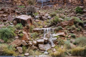 هدر مائي مقلق يتهدد عيون سيدي قاسم ويستنزف ثروة المنطقة