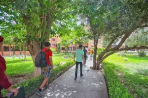 انطلاق صرف المنح الجامعية لفائدة طلبة السلم الأول خلال الأيام المقبلة