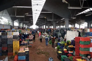 أسواق الجملة بالمغرب تشهد استقراراً في أسعار الخضر والفواكه مع بداية فصل الخريف