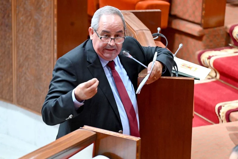 نائبة برلمانية تستجوب وزير التعليم العالي حول “سرقة علمية” بالمدرسة الوطنية للعلوم التطبيقية بأكادير