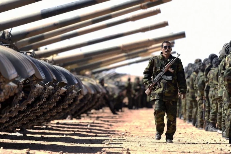 البوليساريو تستعد لاحترام وقف إطلاق النار في الصحراء المغربية تحت ضغط الدبلوماسية الدولية