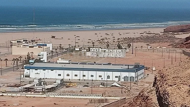 البرلماني التهامي الوزاني عن حزب التجمع الوطني للأحرار يرسخ نفوذه الصناعي والسياسي في ميناء سيدي إفني