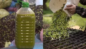 تراجع ثقة المستهلكين يدفع المغاربة إلى عصر زيتهم بأنفسهم