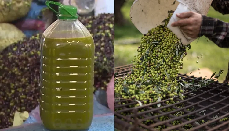 تراجع ثقة المستهلكين يدفع المغاربة إلى عصر زيتهم بأنفسهم