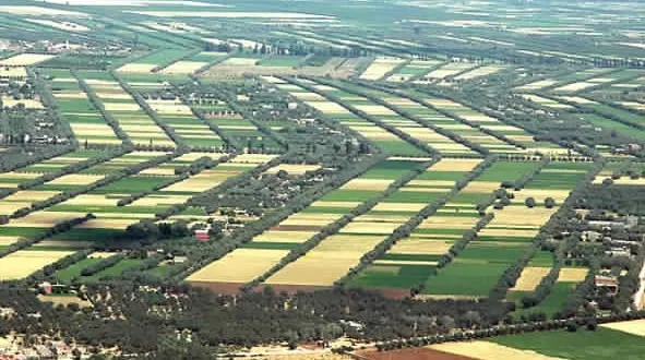 زلزال عقاري يهز وزارة الداخلية: ملايين الأمتار من أراضي الجموع تتحول إلى غنيمة ضخمة خارج القانون!